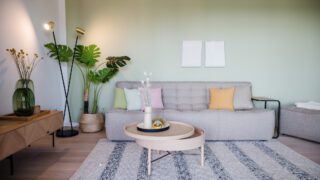 Wohnbereich grüne Wand