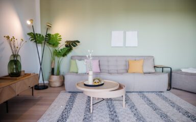 Wohnbereich grüne Wand